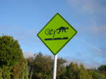 You'd better be careful if you want to bike around here!