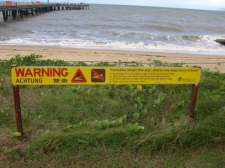 A lot of their beaches are closed in the summertime because of crocodiles